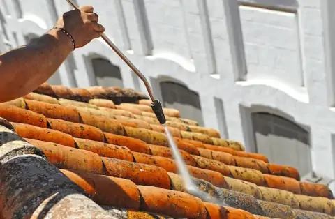 Nettoyage de toitures - Sallenôves